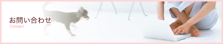 お問い合わせ